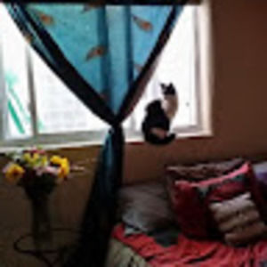 Meet your Posher, Lori